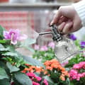 Miniatyrbillede 4 af 4: Vintage Glassprayflaske 6.5