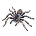 Realistic Animal Figures - Spider Action Model Realistic Insect Figures - Educational Learning Toys Birthday Set