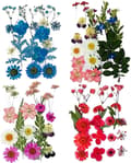 Natural Dried Flowers, 4 Sets Dried Bouquets, Floral Crafts, H