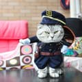 Hunddräkt Husdjur Jul Festkläder Katter Polisman Spelar Gitarr Cosplay Kläder Polis S