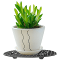Miniatyrbilde 2 av 5: Forhindre råteskader Plantestativ Gulvbeskyttere Blomsterpotter Flygende tallerkener 30CM