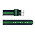 Miniatyrbillede 3 af 5: Til Fitbit Versa 4 / Sense 2 Universal Stripe Nylon Watch Band Blue Green Blue