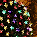 Pikkukuva 1 / 5: 7M 50 LED Sakura Solar Cell Light String Garden Fairy Light 8 Flash Modes 12M