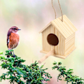 Miniatyrbild 5 av 5: Nest House Fågelholk Bur Korg Vila Plats Väggmonterad Utomhus Fågelholk Trä Låda L