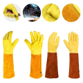 Miniatyrbild 2 av 5: Trädgårdshandskar Kaktushandskar Törnsäkra plantering Skyddshandskar Långärmade Trädgårdshandskar Trädgårdsmästarpresenter Brown yellow M