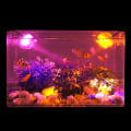 Miniatyrbilde 4 av 4: Fargerik Led Aquarium Fish Tank Spot Lampe Dykking Spotlight opplyste lys Green US Plug