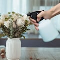 Pikkukuva 3 / 5: Tyhjä suihkepullo, täytettävä säiliö, hienosuihkepullo hiuksille, hiusten muotoiluun, kasvien kasteluun, lemmikkien kylvettämiseen