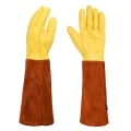 Miniatyrbild 1 av 5: Trädgårdshandskar Kaktushandskar Törnsäkra plantering Skyddshandskar Långärmade Trädgårdshandskar Trädgårdsmästarpresenter Brown yellow M