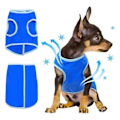Miniatyrbillede 5 af 5: Hundevest sommerkølevest til hunde Åndbar genanvendelig kæledyrskølevest Dacron Cool Vandtæt frakke (50 cm) L