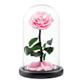 Miniatyrbillede 1 af 5: Evig Rose i Glaskuppel Romantisk Æstetisk Kunstig Evig Rose Blomst i Glaskuppel Gave Møll Pink