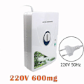 Miniatyrbild 2 av 5: Ozongenerator Frukt Grönsaker Ozonisator Luft Vattenrenare O3 Ozonmaskin Rengör Luft 600mg/h - Utmärkt US Plug