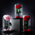 Miniatyrbillede 5 af 5: Evig Rose i Glaskuppel Romantisk Æstetisk Kunstig Evig Rose Blomst i Glaskuppel Gave Møll Red
