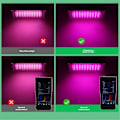 Miniatyrbillede 4 af 5: Til Planter 200W LED Vækstlampe Fuld Spektrum Phyto Lampe Drivhus Vækstbelysning EU Stik