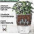 Miniatyrbild 3 av 5: Örtkruka Kit Set Ill -ing Set Om 3 Ört En För Kitet, 18.2x 11x 15.3 Cm, För Kit Örter, Grå