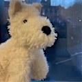 Pikkukuva 4 / 4: West Highland Terrier -pentuplussilelu - Täytetty eläin - Tyttömäinen nukke lahjaksi Brown 40cm