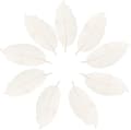 Nya 50st Magnolia Skelettblad (Skelett Floral Torr Kronblad Mischfarbe) White