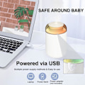 Pikkukuva 3 / 5: Viileä sumu ilmankostutin Kannettava henkilökohtainen USB-pöytäkoneilmankostutin yövalolla autoon, toimistoon, kotiin