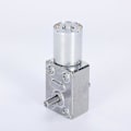 Pikkukuva 4 / 4: 6V/12V/24V Korkean Vääntömomentin Moottori Mini Metallinen Ruuvipyörämoottori Kaksiakselinen JGY370 rpm 150 24V