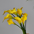Miniatyrbillede 5 af 5: 5 stk. Kunstig Blomst Almindelig Calla Føles Virkelig Kunstige Blomster Til Stue Spisebord Orange