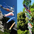 Miniatyrbillede 3 af 5: 55cm Japansk Nobori Koinobori Karpe Streamer Vindpose Fisk Flag Drage Hjemmeindretning JIKAIX Blue