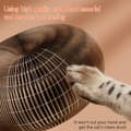 Miniatyrbild 5 av 5: Magic Accordion Interactive Scratch Toy for Cats - The Ultimate Interactive Mental and Physical Training for Indoor Cats