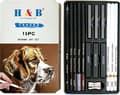 H&B 15 st/set konstmaterial ritset vitt kol och pastellpennor set målningsverktyg