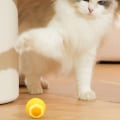 Miniatyrbild 3 av 5: Ocean Yellow Smart Cat Ball, Interaktiv Katt Leksak, 360 Grader Auto