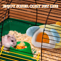 Miniatyrbilde 5 av 5: Marsvinseng Skjulested, Vaskbart Vintersovehus Bur Tilbehør for Smådyr Hamster, Piggsvin, Chipmunk, Undulat, Gul
