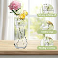 Miniatyrbild 4 av 5: Plantförökningskompis, Växtsticklingshållare, Dekorativa växtstöd för växtvård, Förökningsvänner för inomhusträdgårdar eller för groddar