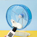 Miniatyrbillede 2 af 5: Ocean Blå Hamster Løbehjul med Akryl Stativ, Racing Spinni