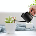 Miniatyrbild 1 av 5: 300ML Vattningskanna i Rostfritt Stål med Lång Pip Mini Metall Vattningskanna för Inomhus- eller Utomhusväxter Svart
