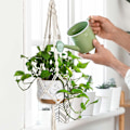 Miniatyrbild 2 av 5: 3-pack Växtupphängning Inomhus Hängande Planteringskärl för Växthållare med 3 Krokar, Olika Storlekar för Boho Heminredning, Elfenben (KRUKOR INGÅR EJ)