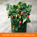 Miniatyrbilde 3 av 5: Fruktbeskyttende nettposer 1stk Multi Munn Vekstpose, Gjenbrukbar Hagegrønnsakspotteplanter, Pustende, Plantingsposer For Jordbær Toma
