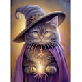 Pikkukuva 1 / 5: 30x40cm, 5D Magic Cat Timanttimaalaus 5d timanttimaalattu rhinest