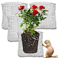 Miniatyrbilde 1 av 5: Gallon Wire Gopher og Vole Speed ​​Kurver, Plante Rotbeskyttelse