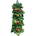 Miniatyrbilde 1 av 5: Planteposer for jordbær, aromatiske planter, PE-lommeplanter, planteposer for grønnsaker for jordbær, urter, blomster, poteter, gulrøtter, tomater, løk