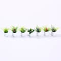 14 st Miniatyrväxter Bonsai 1:12 Mini Krukväxter