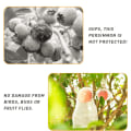 Miniatyrbillede 4 af 5: 50 stk. Frugtbeskyttelsesposer, Genanvendelige Netposer 6 x 10 tommer Myg