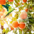 Miniatyrbillede 3 af 5: 50 stk. Frugtbeskyttelsesposer, Genanvendelige Netposer 6 x 10 tommer Myg