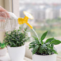Miniatyrbilde 5 av 5: 2 stk Vannkannehode, Dobbelt-hode Vannkanne Sprinklerhode, 2 i 1 Plasthode Flasketopp Sprinkler for Innendørs Planter, Vannutløp for Potteplanter