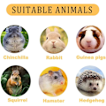 Miniatyrbild 5 av 5: 32×28cm Marsvinsbädd Grott Hamsterbädd Mjuk Sovsäck Varm Cu