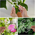 Miniatyrbild 4 av 5: 2 st Monstera Växtstöd Inomhus Växtstöd Pinnar Växtstamstöd Bladklämma För Växter Plast Klar Monstera Form Pinne För Utomhus Eller Inomhus