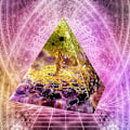 Miniatyrbilde 5 av 5: 6cm Krystallpyramide, Amethyst Pyramide Edelsten, Livets Tre Pyramide