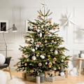 Miniatyrbild 5 av 5: 3,15\" Julgranskulor Bollar 6 st Julgransprydnad Set Röd