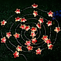 Miniatyrbild 4 av 5: Rosa blomsterfe slingor, 10FT 30 LED juldekorationer batteridrivna lampor för inomhus utomhus sovrumslampor, sovsal, rum, bröllop,