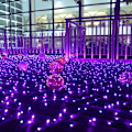 Miniatyrbilde 2 av 7: 3 Pakker Julelysnett, 100 LED 6ft x 4 ft Lilla Koblingsbare Nettlys Utendørs Nettlys med Svart Ledning, Busklys for Julegård