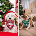 Miniatyrbillede 3 af 5: 2 Pakke Hunde Bandana Jul Klassisk Ternet Kæledyr Tørklæde Trekant Hagesmæk