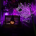Miniatyrbilde 4 av 8: Halloween-dekorasjoner edderkoppnettlys, 70 LED-edderkoppnettlys for Halloween-dekorasjon innendørs utendørs vanntett, edderkopp LED-lys batteri lilla