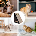 Miniatyrbilde 4 av 9: Kattenskrape leketøy, rampe trekant skrapepost for kattunge - kjæledyr katter forsyninger, slitesterk vertikal katt skrape med ball for små, mellomstore,