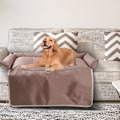 Miniatyrbillede 1 af 5: Hundesofa beskyttelse til hunde og katte med blød nakkestøtte. Stor